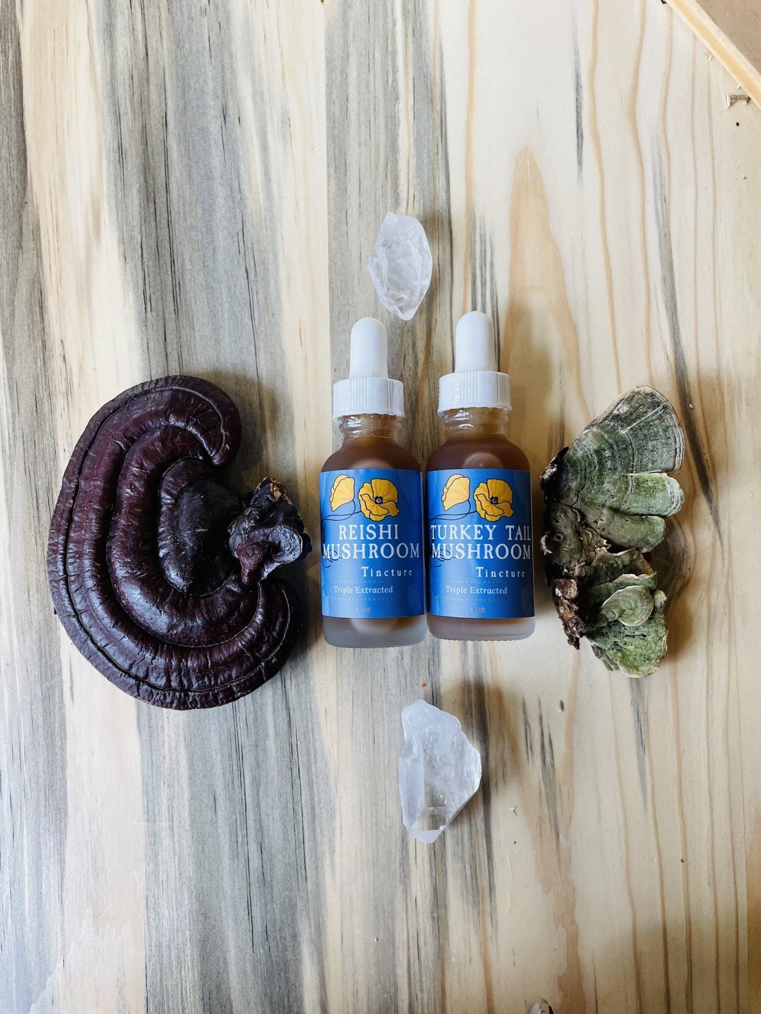 Golden Poppy Herbal Apothecary Reishi Mushroom Tincture 1 oz, Organic, Triple Extracted