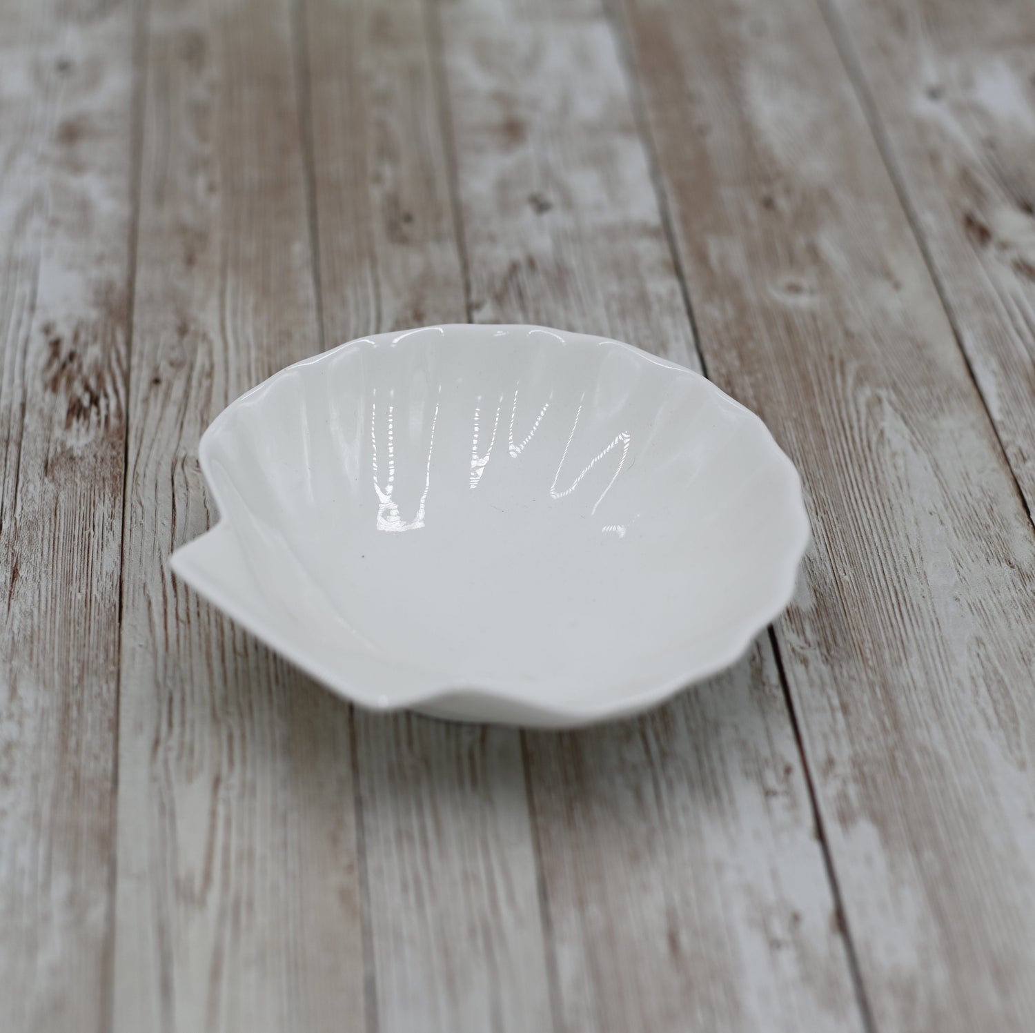 Set Of 12 White Shell Dish 5" inch | 13 Cm