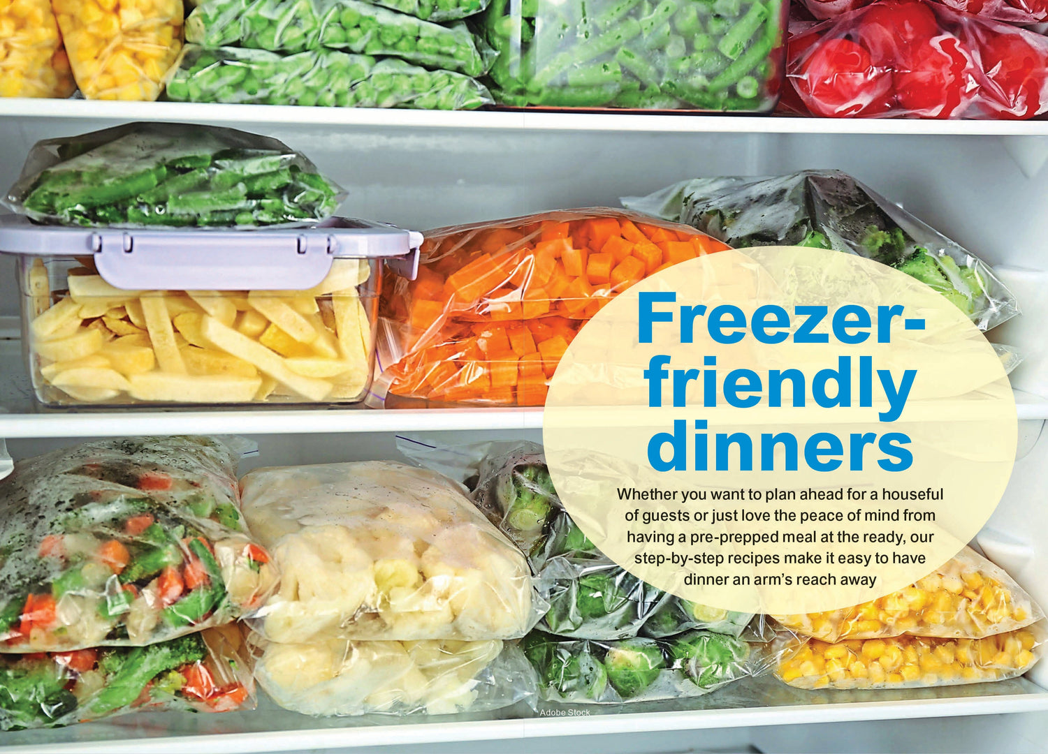 Woman's World Specials - Delicious On A Dime: 50+ Budget-Friendly Recipes Under $3/Serving, Freezer-Friendly Cozy Stews & Hearty Pastas, Rich Desserts, Foolproof Guides & Savings Tips! (Digest Size)