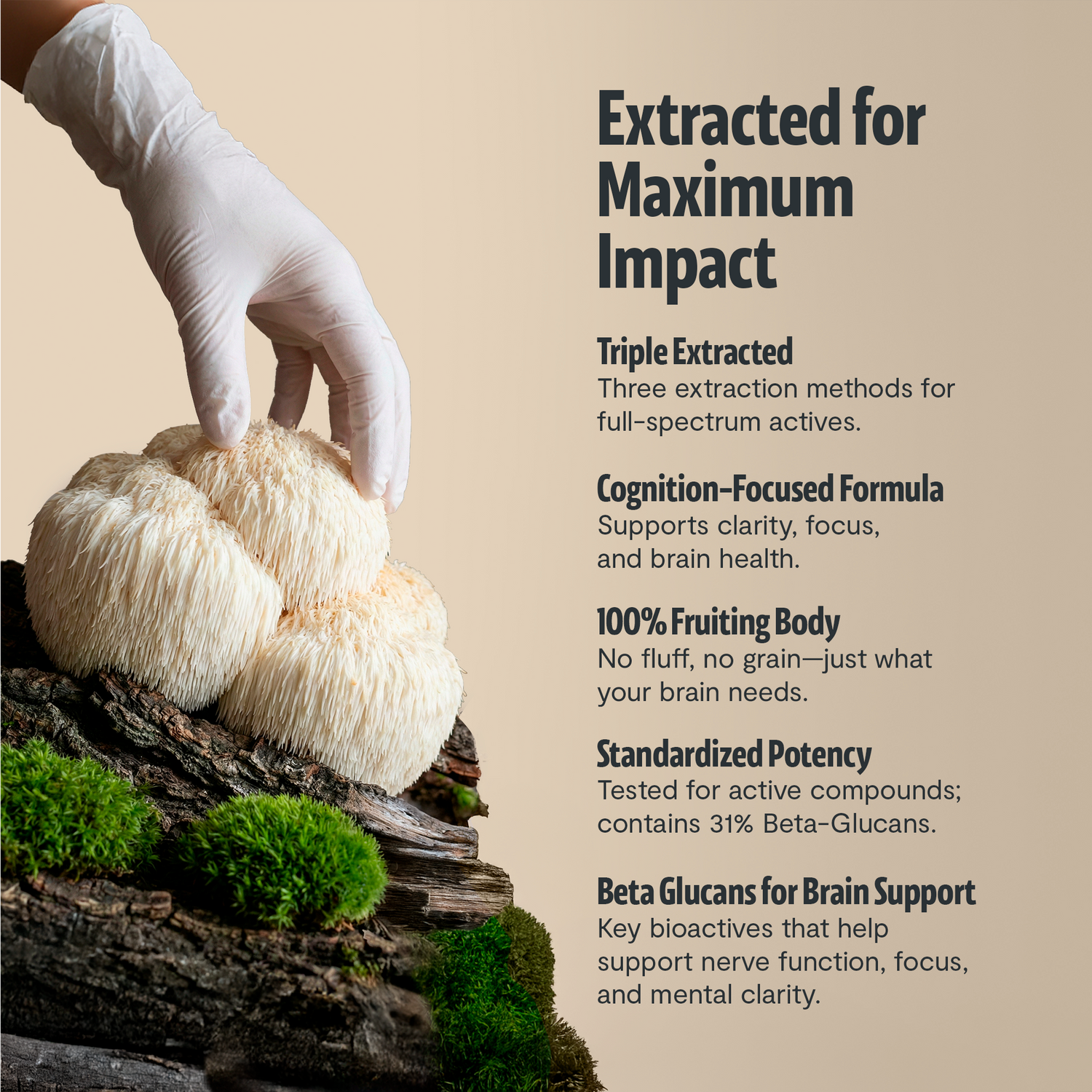 FreshCap Mushrooms Organic Lion’s Mane Capsules