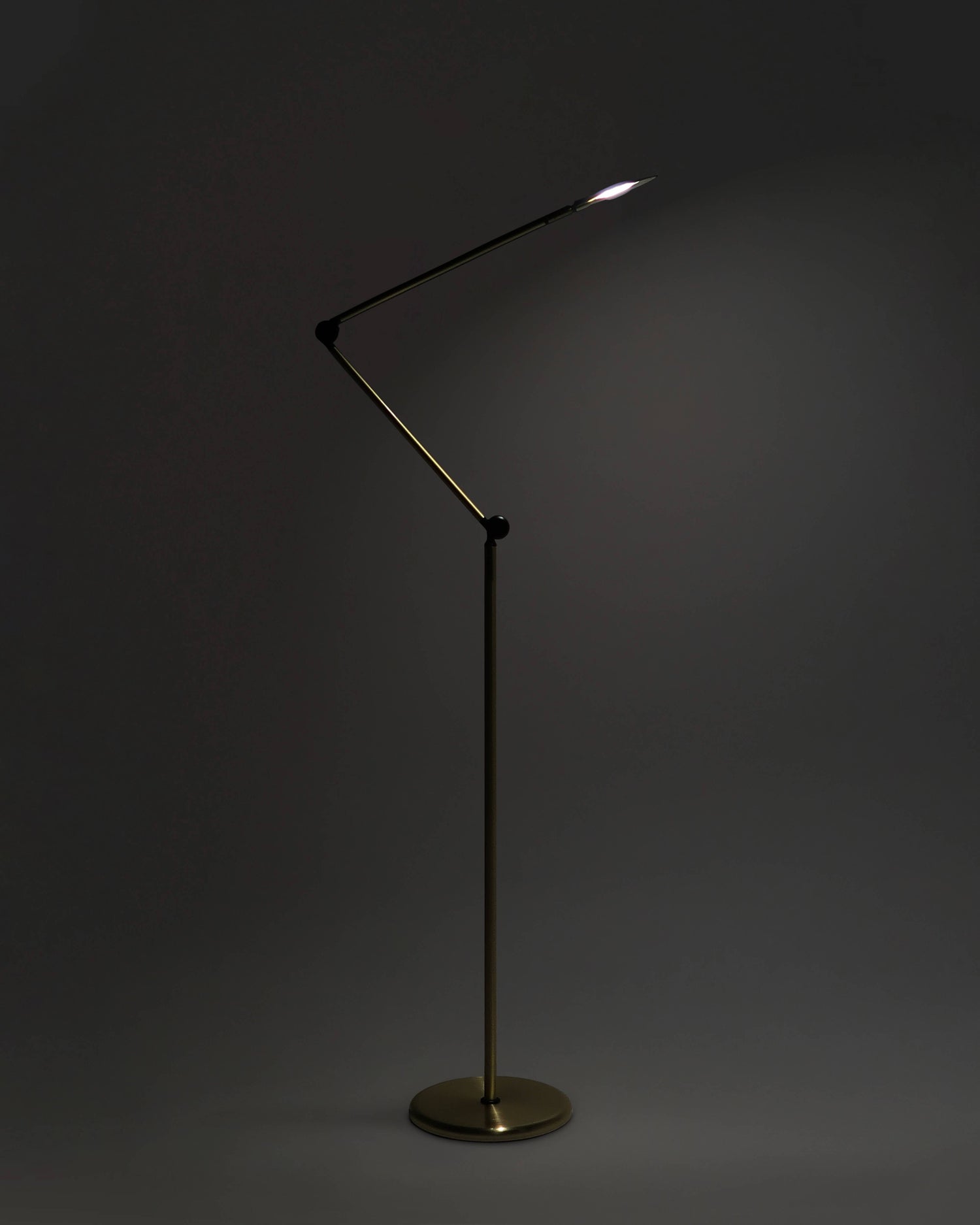 Sage 2-in-1 LED Floor and Table Lamp