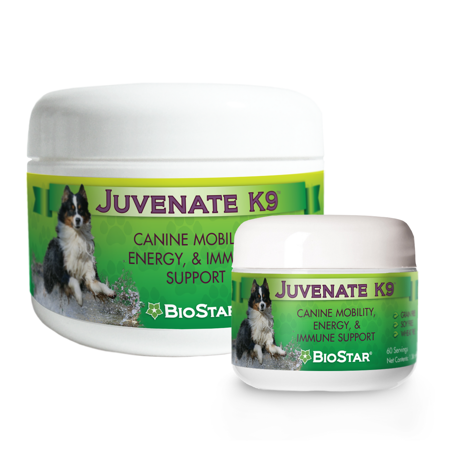 BioStarUS Juvenate K9