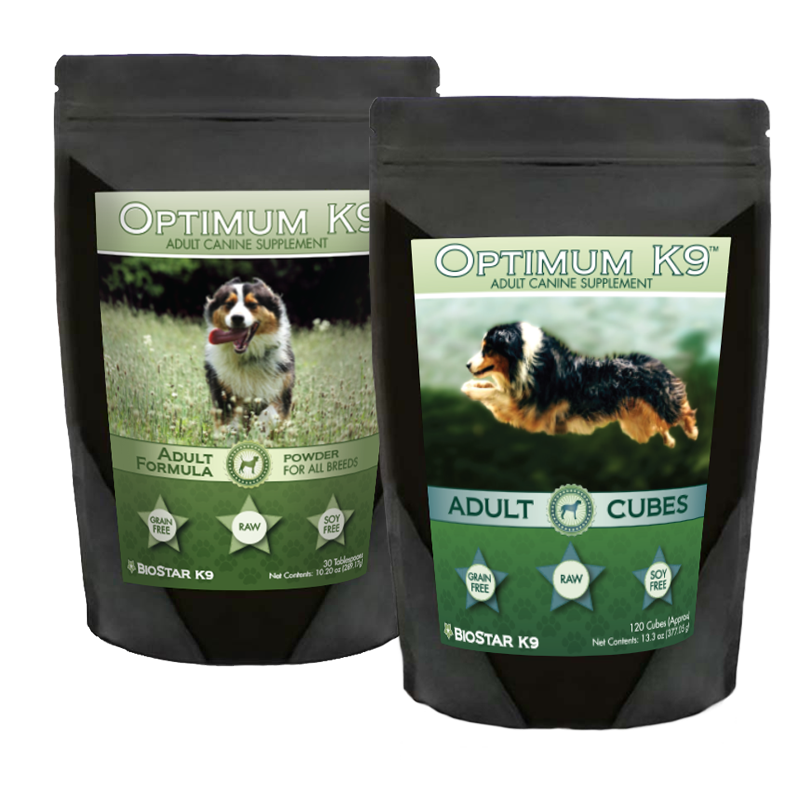 BioStarUS Optimum K9