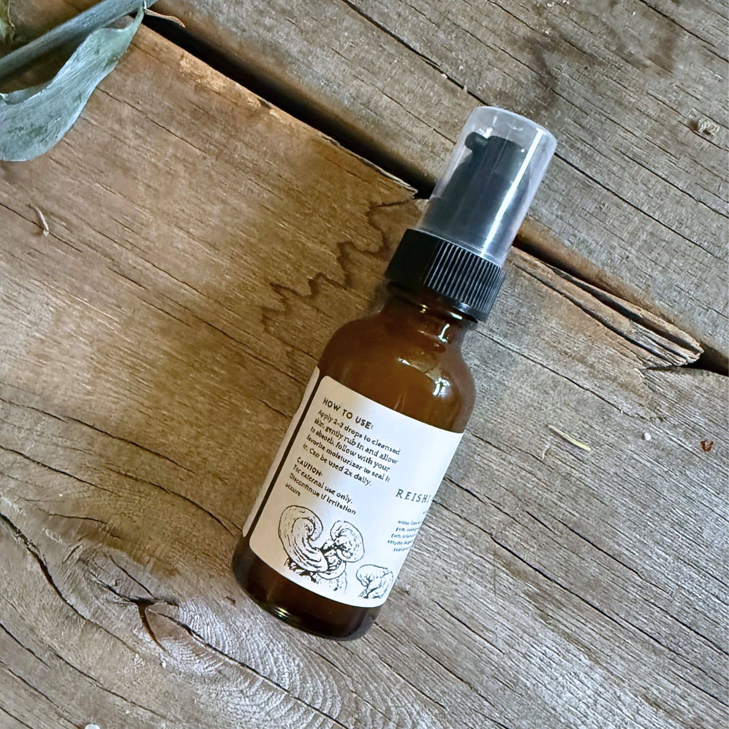 Tallow Skin Co. Photo Finish | Reishi & Pomegranate Firm & Lift Anti-Aging Serum